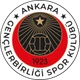 Gençlerbirliği logosu